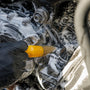 Lavage ou detailing moto : quelle est vraiment la différence ?
